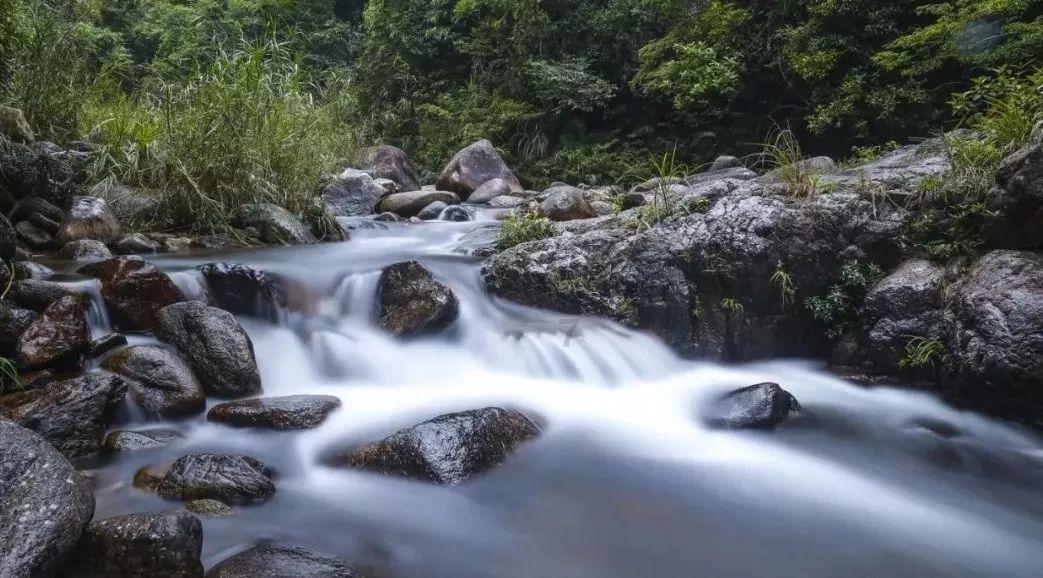 牛鲨打假机构,牛鲨打假公司